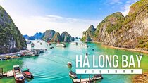 Full Day Tour with 6 Hours Cruise on Halong Bay Heritage Site