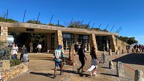 Cape Point & Penguin Colony Full-Day Tour 