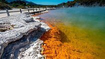 Wai-O-Tapu to Redwoods and Secret Spot Private Tour from Auckland
