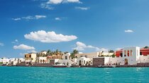 3 Hours EL Gouna Private City Tour & Transfer with Shopping Stops
