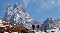 4 Days Mardi Himal Base Camp Trekking in Pokhara