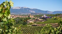 Vineyard Voyage: A Wine Lover’s Tour from Bilbao to Rioja