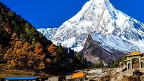 Kathmandu Private Tour 14 Day Manaslu Circuit Trek