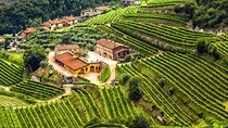Private Valpolicella Wine Tour Experience from Verona