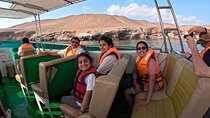Ballestas Islands and Paracas Reserve Expedition from Ica group