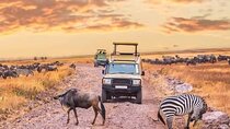 2- Days Tanzania Private (Budget) Safari