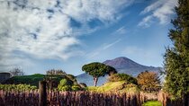 Full-Day Private Pompeii and Vesuvius Wine Tour from Naples