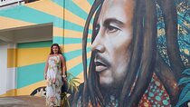 Bob Marley Mausoleum & Dunn’s River Falls Private Tour