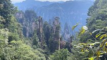 Private 2 Full-Day Classic Zhangjiajie National Park Tour Package