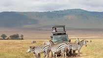 Private 5 Day Tanzania Safari Adventure Tour from Arusha