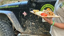 Offroad experience jeep tour and lunch in nature