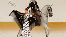 Horse and Flamenco Show in Malaga