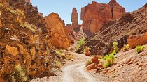 Full Day Private Tour to Charyn Canyons