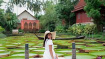 Phuket Giant Water Lilies & Temple Private Tour