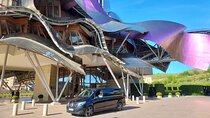 Private Transportation to Ribera del Duero by Minivan