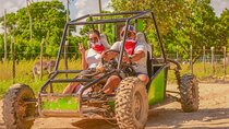 From PuntaCana: Tour in buggy double With Cenote and macao beach