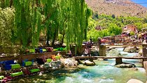 Day Trip from Marrakech Explore the Atlas Mountains and 4 Valleys