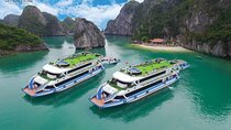 All included Halong Bay Budget Cruise Luxury Day Tour