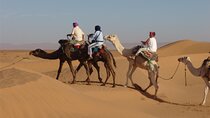 3 Hours Quad Bike Desert Safari with Camel Ride from Marsa Alam