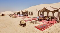  Private Sunset Camel Ride and Bedouin Dinner Tour in Marsa Alam