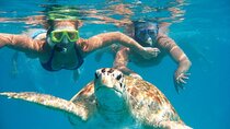 Red Sea Catamaran Adventure White Island & Ras Mohamed Tour