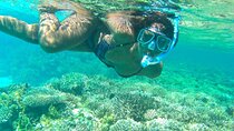 Ras Mohamed National Park Snorkeling Cruise from Sharm El Sheikh