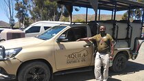 Aquila Big Five Safari Near Cape Town(with optional wine testing)