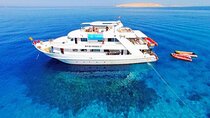 Private Luxury Boat Trip to Ras Mohamed and White Island