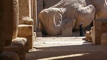  Tour of Ramesseum Temple and Carter House from Luxor
