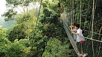 Taman Negara Rainforest Day Tour With Batu Caves Bonus Stop *25*