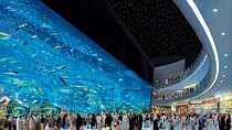 Private Dubai Shopping Tour with Luxury Dinner at Burj Al Arab