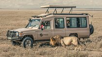 Tanzania Wildlife Encounters - 6 Days