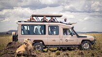 Tanzania Enticing Explorations - 6 Days