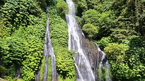 Private Experience Bali Splendor Waterfalls Temple and Rice Field
