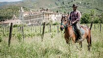 1 hour horseback ride in Valgraziosa Pisa