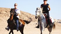 Hurghada Arabian Desert and Sea Horseback Adventure