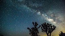 Joshua Tree Sunset & Stargazing Private Tour & Hike