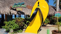 FullDay at Margaritaville 7Mile Beach & Rick's Cafe in Negril