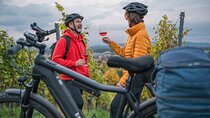 E-Bike Wine Route Full Day Tour in Cape Town
