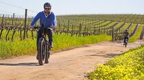 E-Bike Wine Route Half Day Tour in Cape Town