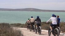 E-Bike Safari West Coast Full Day Tour in Cape Town