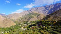 3 Valleys Day Trip, Waterfalls, Atlas Mountains and Camel Ride