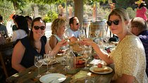 Ebike Tour, Winery, Wine Tasting & Sailing Experience(car option)