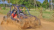 Experience Buggies in Punta Cana
