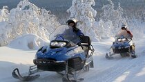 Full Day Private Snow Mobile in Carpathain Mountains