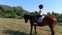 horseback riding for children