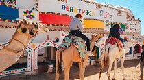Private Aswan Camel Riding Adventure