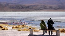 2-Day Private Tour to Salar de Uyuni and Laguna Colorada