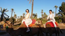 Camel ride through marrakech palmeraie