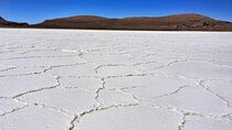 Salar de Uyuni Private Day Trip with Entrance Fees